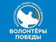 Всероссийский слет студенческих добровольческих объединений