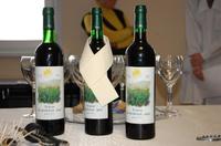 Презентация алтайского вина