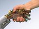 В АлтГТУ пройдет ежегодная региональная олимпиада по робототехнике