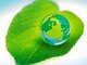 В АлтГТУ состоится конференция по вопросам зеленой экономики