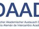 Презентация стипендиальных программ DAAD в АлтГТУ