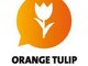 Гранты 2017−2018 г голландских вузов для российских студентов (стипендиальная программа Orange Tulip Scholarship)