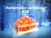 «Мандариновое настроение» подарил телеканал «Катунь 24» участникам физико-технической школы «Наследники Ползунова»