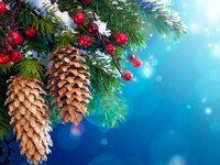 Новогодние каникулы в январе 2017 г.