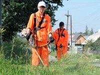 «Вечерний Барнаул»: «Отряд «Сибиряк» благоустраивает Железнодорожный район»