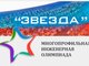 Многопрофильная инженерная олимпиада «Звезда»