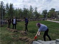 Студенческие отряды РИИ благоустроили сквер Победы в Рубцовске