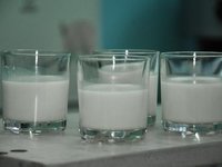 «Немолочное молоко». Студенты АлтГТУ представили свои инновационные разработки