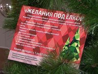 «Катунь 24»: Жители края могут исполнить новогодние мечты детей из малообеспеченных семей