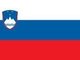 Стипендии для обучения и стажировок в Словении в 2021/2022 учебном году