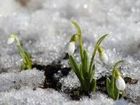 Творческая Весна в «Политехническом»