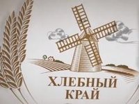Ученые АлтГТУ рассказали о масличных культурах в эфире телеканала «Катунь 24»