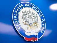 УФНС по Алтайскому краю ведет набор специалистов