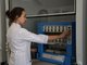 В лабораториях инжинирингового центра «ХимБиоМаш» АлтГТУ проводят исследования пищевой ценности зерновых культур