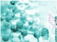 Конкурс на звание «Ученый года» и «Молодой ученый года» Конкурс на звание «Ученый года» и «Молодой ученый года»