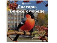 В Барнауле пройдет форум студенческих инициатив «Снегири. Ближе к Победе»