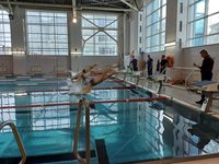 Определились победители студенческой спартакиады по плаванию