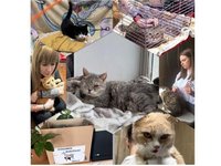 Неделя социальной инициативы и внеучебных достижений Строительно-технологического факультета